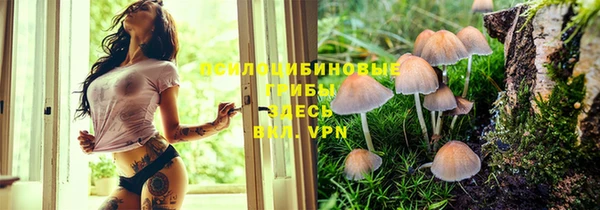прущие крисы Аркадак
